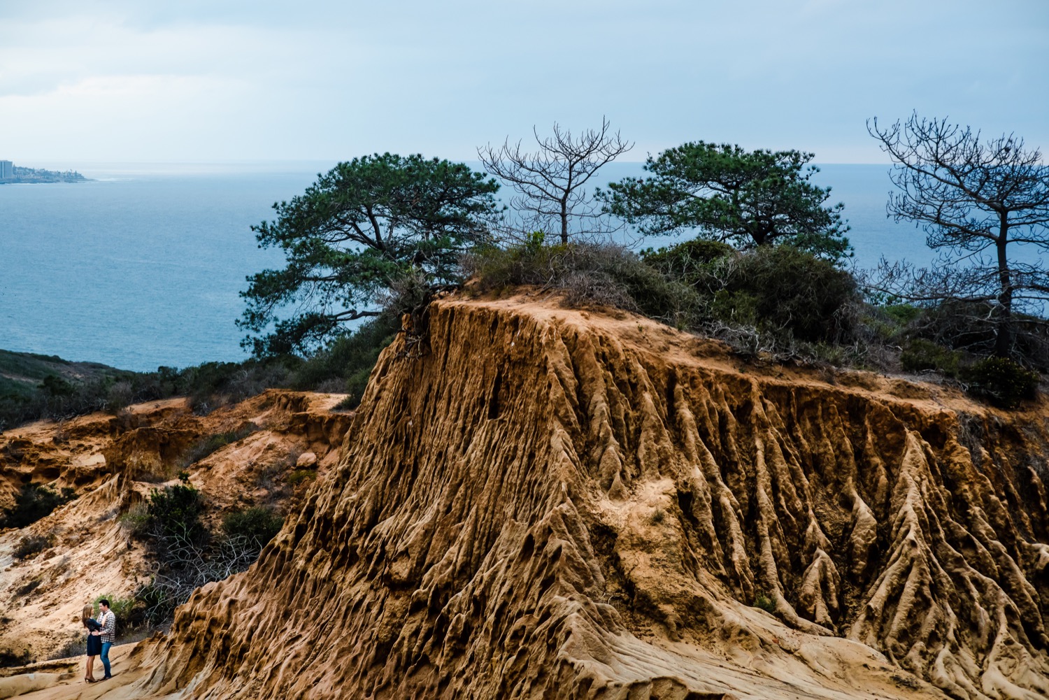 Torrey Pines State Reserve Engagement Photography